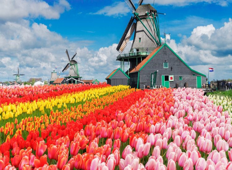 Amsterdam